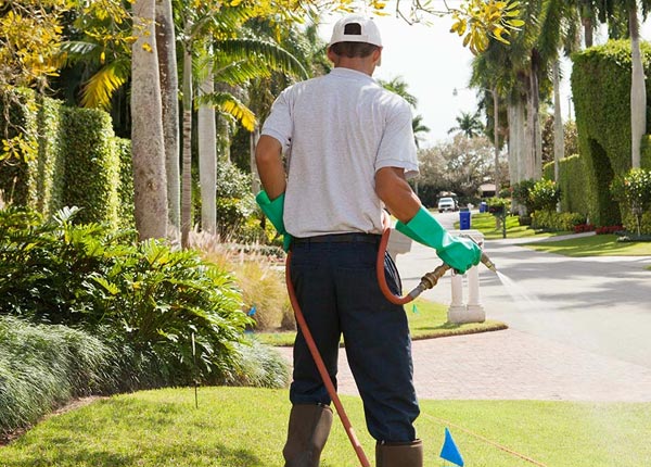 About Pittsville WI Pest Control